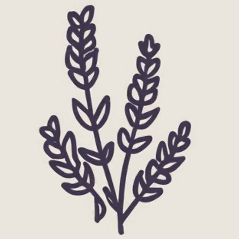 Lavender – lavender oil and lavender water